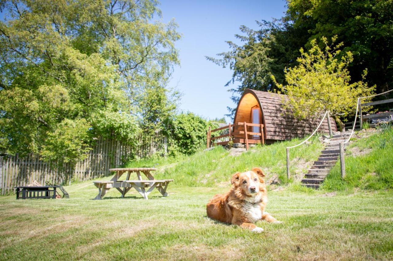 Ty Grug Pods Hotel Bryngwyn ภายนอก รูปภาพ